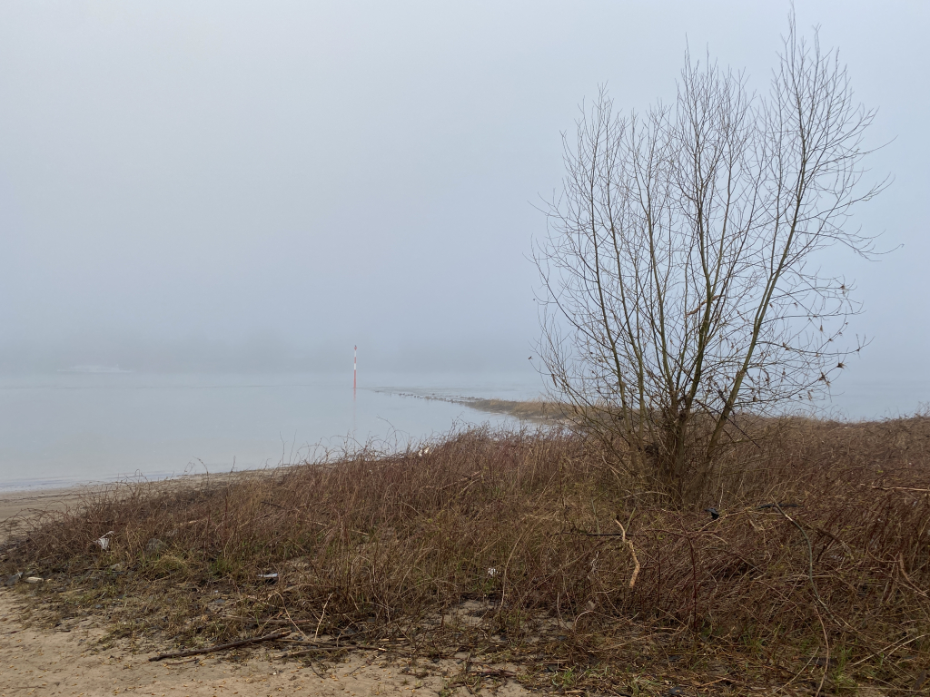 2024-03-06 Rhein 0058 k.JPG